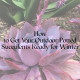 How to Get Your Outdoor Potted Succulents Ready for Winter